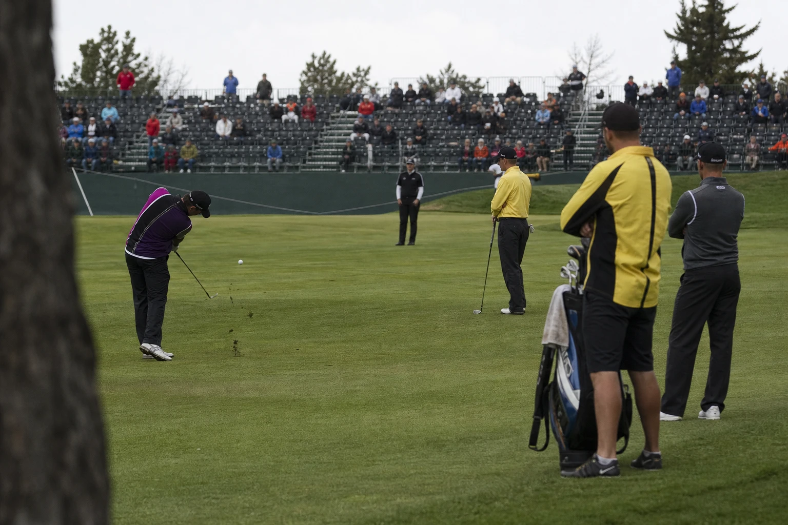 Golfgreen med läktare inför PGA Championship.